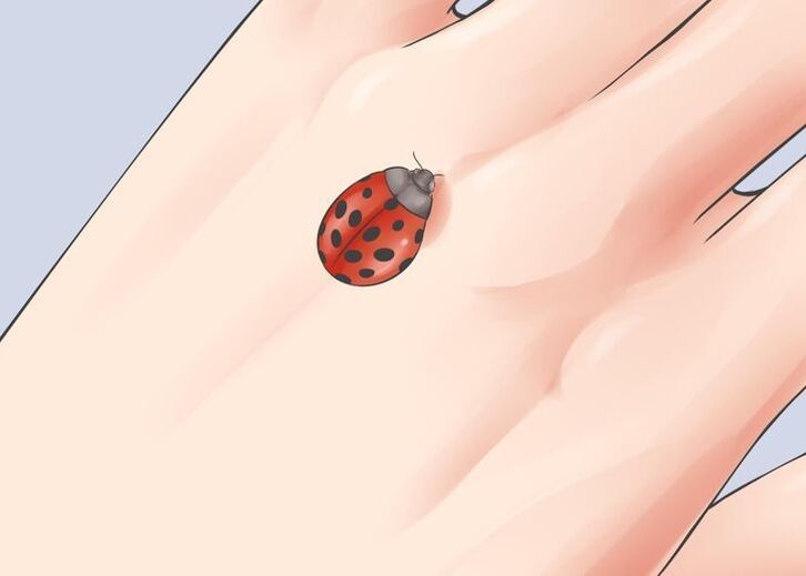 ladybug sebagai jimat keberuntungan